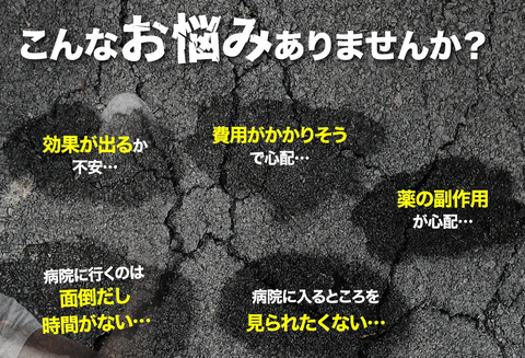 SnapCrab_NoName_2026-2-22_5-21-45_No-00