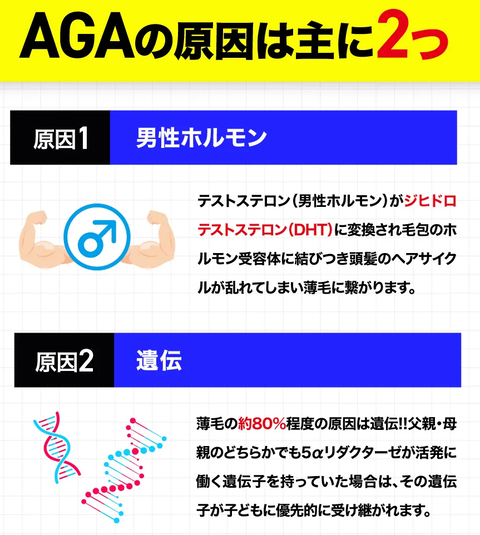 SnapCrab_NoName_2026-2-22_5-21-27_No-00