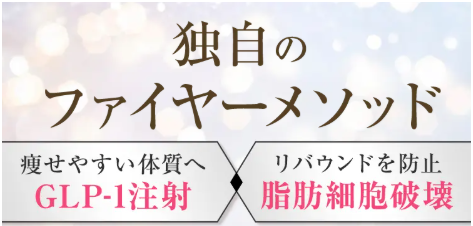 SnapCrab_NoName_2025-10-24_2-39-53_No-00 - コピー