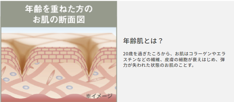 SnapCrab_NoName_2025-8-8_2-19-17_No-00 - コピー