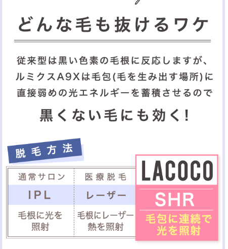 SnapCrab_NoName_2024-5-30_1-21-28_No-00