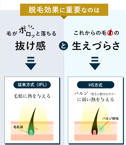 SnapCrab_NoName_2024-6-29_15-32-48_No-00