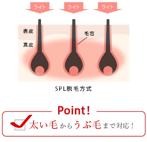 SnapCrab_NoName_2025-10-19_1-35-27_No-00