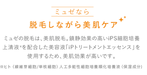 SnapCrab_NoName_2024-4-13_15-30-12_No-00