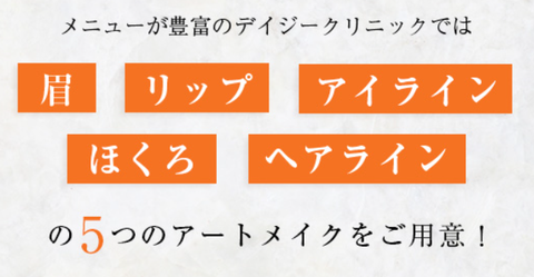 SnapCrab_NoName_2024-8-11_15-2-40_No-00