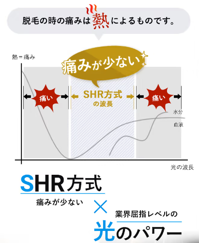 SnapCrab_NoName_2024-6-29_15-29-24_No-00