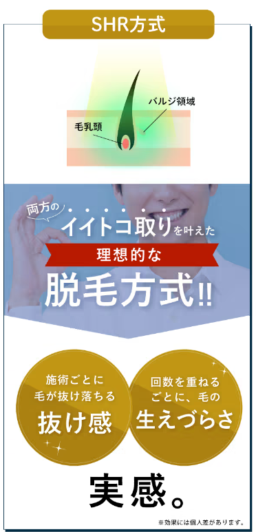 SnapCrab_NoName_2024-6-29_15-29-54_No-00
