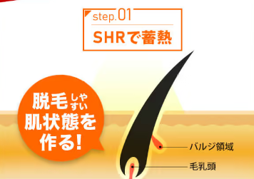 SnapCrab_NoName_2024-6-29_15-27-25_No-00