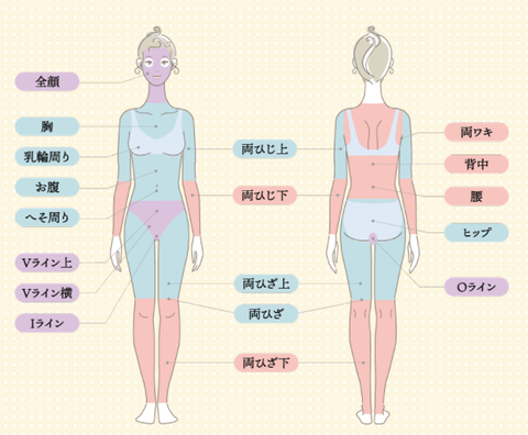 SnapCrab_NoName_2021-9-3_18-21-36_No-00