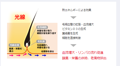 SnapCrab_NoName_2019-7-6_17-24-38_No-00