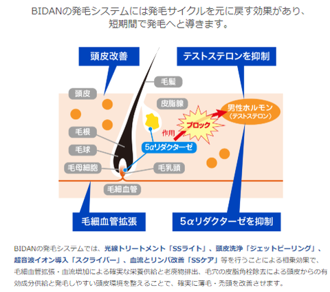 SnapCrab_NoName_2019-7-6_17-23-5_No-00