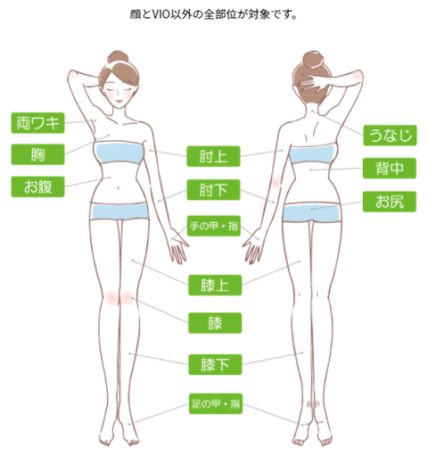 SnapCrab_NoName_2021-4-2_16-0-57_No-00