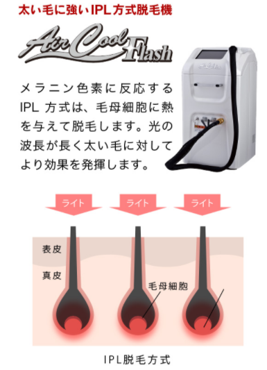 SnapCrab_NoName_2021-1-17_1-9-29_No-00