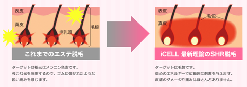 SnapCrab_NoName_2019-8-12_20-59-19_No-00