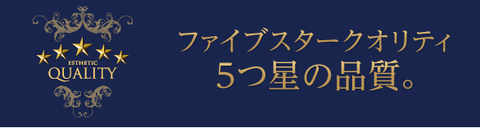 SnapCrab_NoName_2021-2-7_20-17-28_No-00