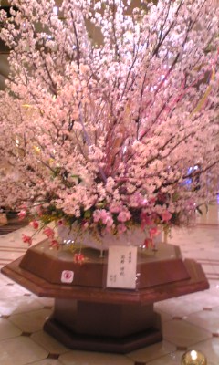 春爛漫の巨大な桜の生け花 京王プラザホテルにて It研究会 4月の予定です ぜひ ご参加ください 経営者の情報技術勉強会 it研究会 ネット通販の勉強会 3万ドル倶楽部を主宰する 鈴木大吉の日記 春爛漫の巨大な桜の生け花 京王プラザホテルにて It研究会 4月の予定です ぜひ ご参加ください 経営者の情報技術勉強会 it研究会 ネット通販の勉強会 3万ドル倶楽部を主宰する 鈴木大吉の日記