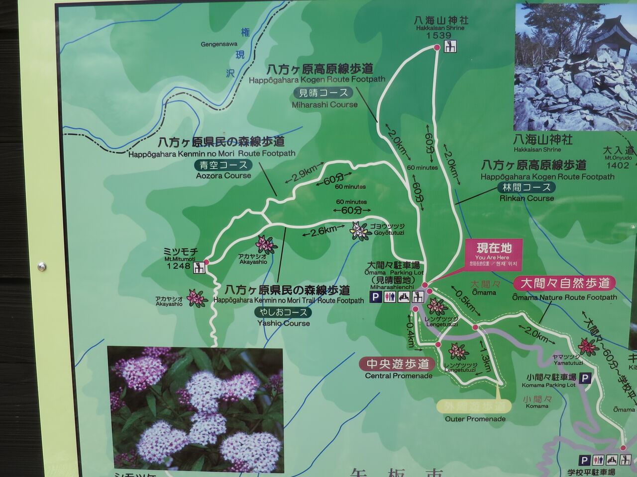 八方ヶ原 ミツモチ山コース Kawache番外編