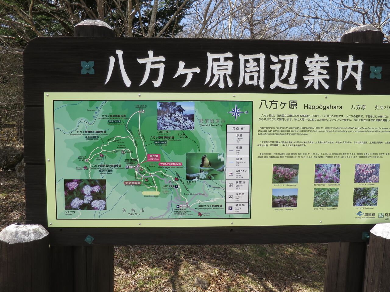 八方ヶ原 ミツモチ山コース Kawache番外編