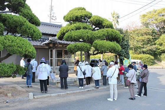 イメージ 11