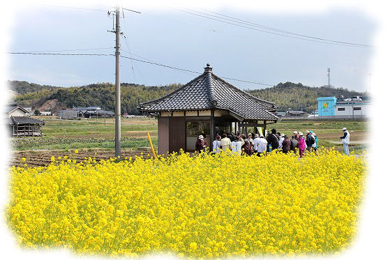 イメージ 9