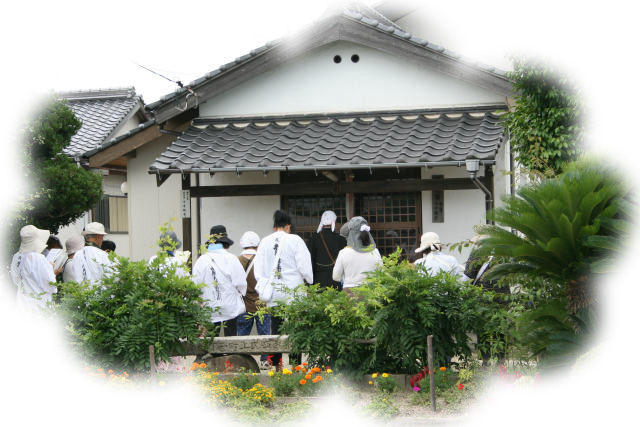 イメージ 7