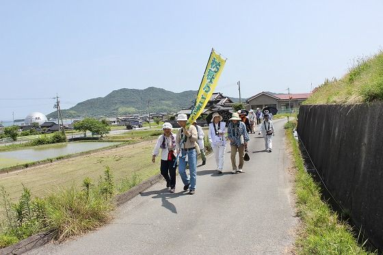 イメージ 5