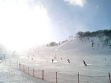 2007031918