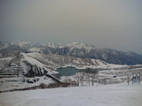 2006042607