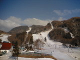 2006041906