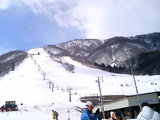 2007031901