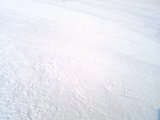 2007032203