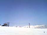 2007032305