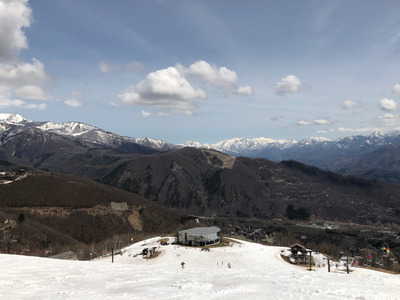 IMG_9781