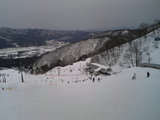 2007031501