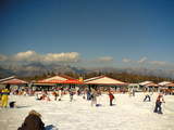 2006012206