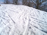 2008032507