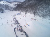 2007031905