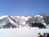 2007032303