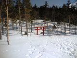 2006031105