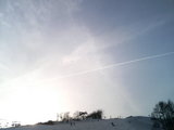 2008031806