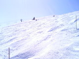 2008031804