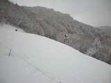 2011021214