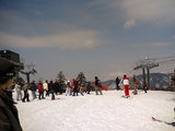 2006043002