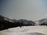 2006031104