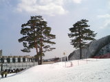 2007032106