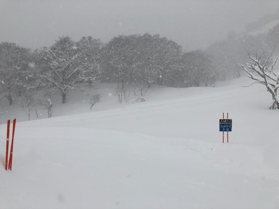 2018120201