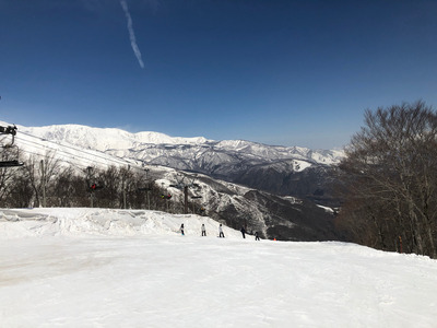 IMG_9557