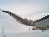 2007032202