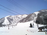 2007032302