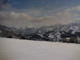 2006011503